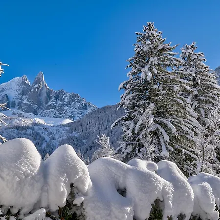 Chalet Black Squirrel Chamonix